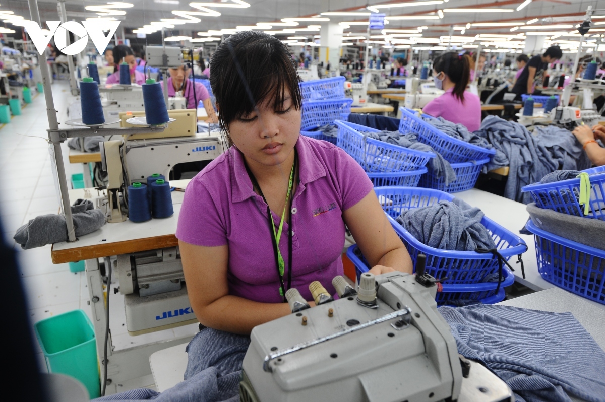 vietnamese labour market recovers to pre-covid levels picture 1