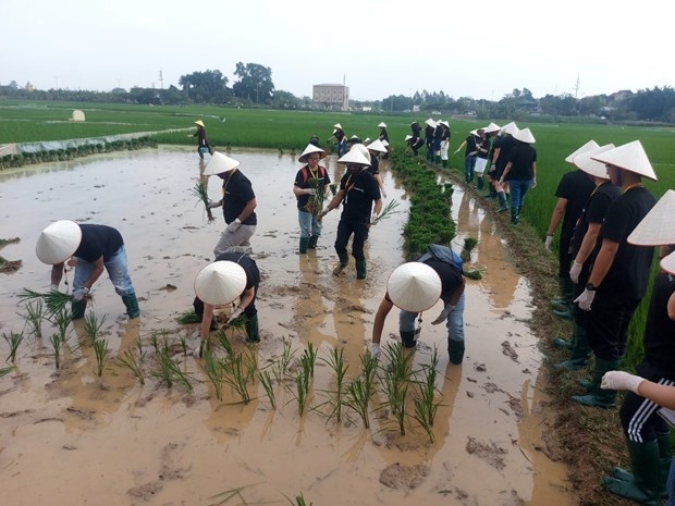 hanoi eco-farm excursions appeal to foreigner tourists picture 1