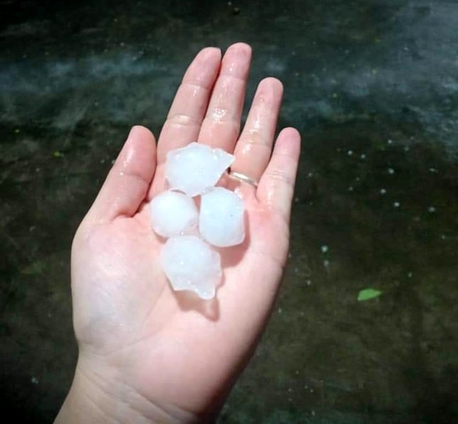 hail hits hanoi capital, big trees fall during thunderstorms picture 1