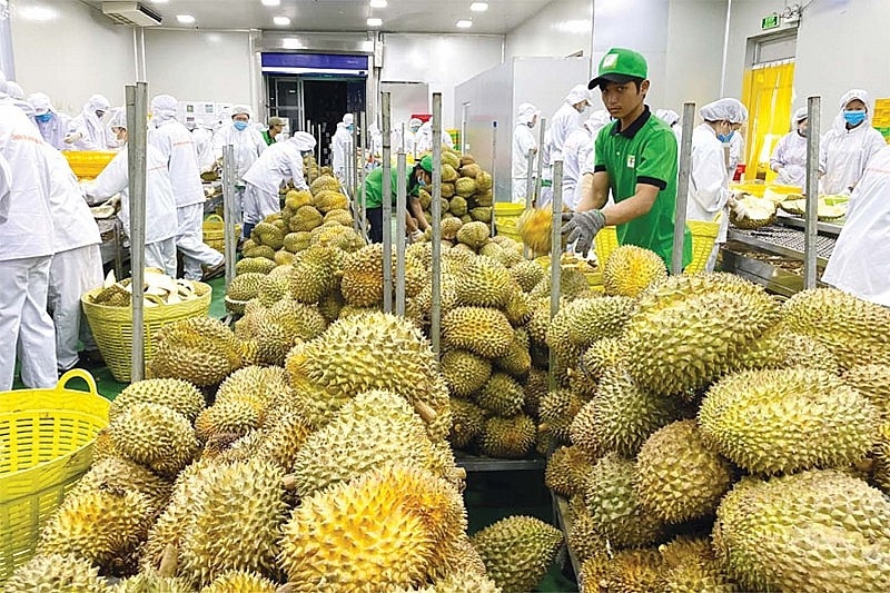 two-month durian exports reach same level as entirety of 2022 picture 1