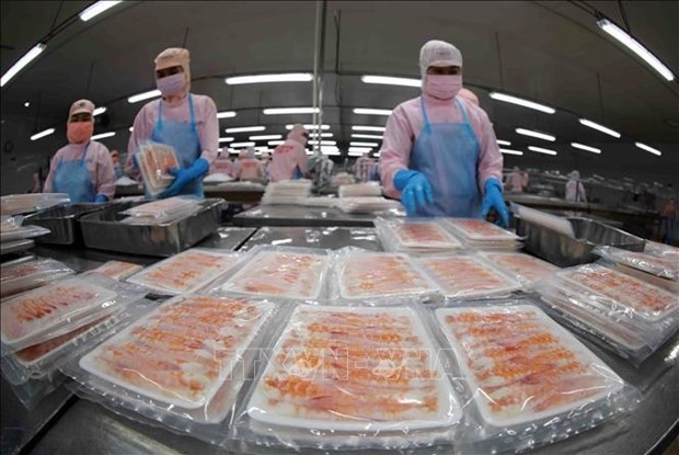 shrimp exports to major markets bounce back picture 1