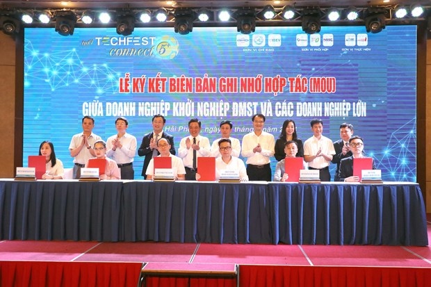 hai phong techfest connects vietnamese, rok businesses picture 1