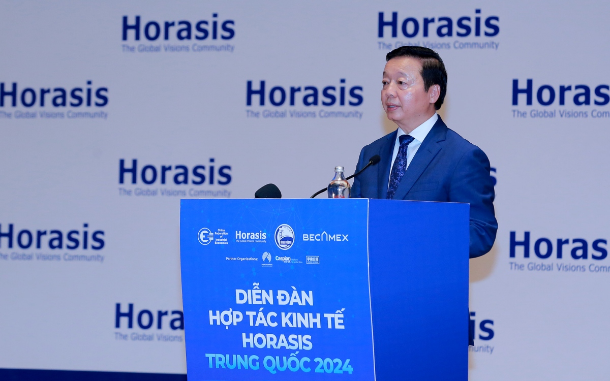 vietnam courts business opportunities at horasis china meeting 2024 picture 1