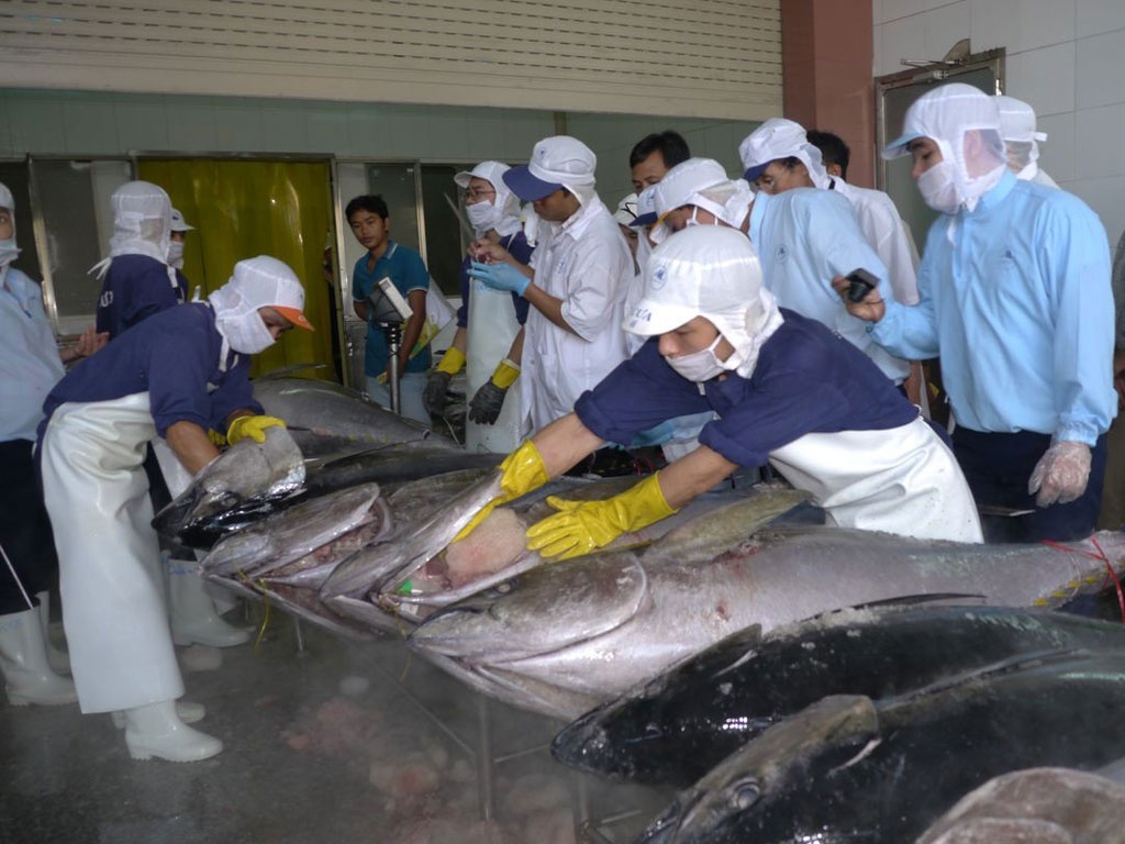 tuna exports to poland skyrocket by 786 during two-month period picture 1