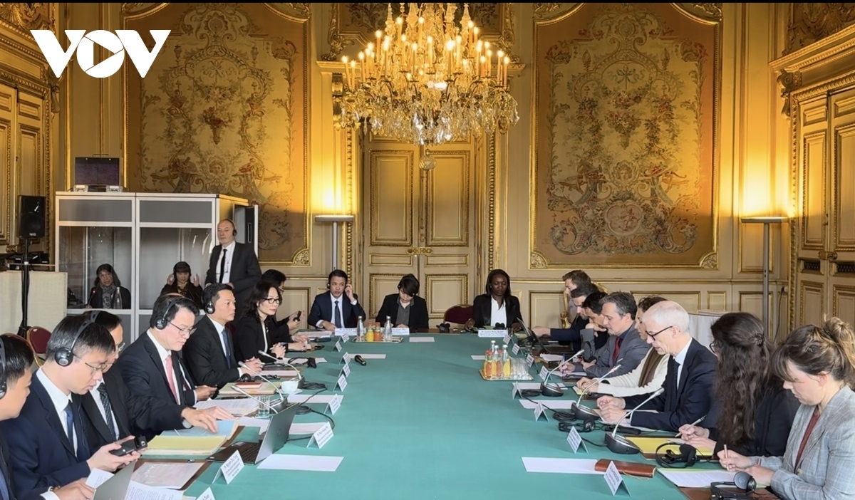 france, vietnam hold annual high-level economic dialogue picture 2
