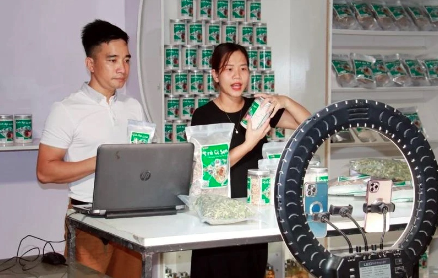 vietnam, singapore promote cross-border e-commerce picture 1