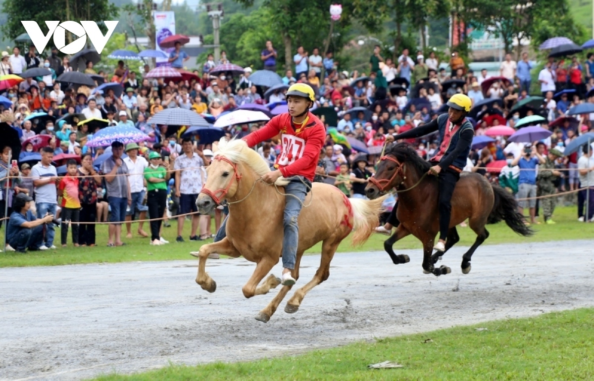 lao cai to host annual bac ha white plateau festival in early june picture 1