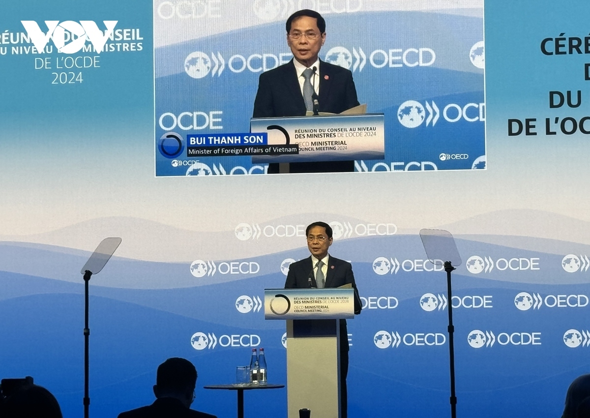 oecd should make headway in global cooperation, says vietnamese diplomat picture 1