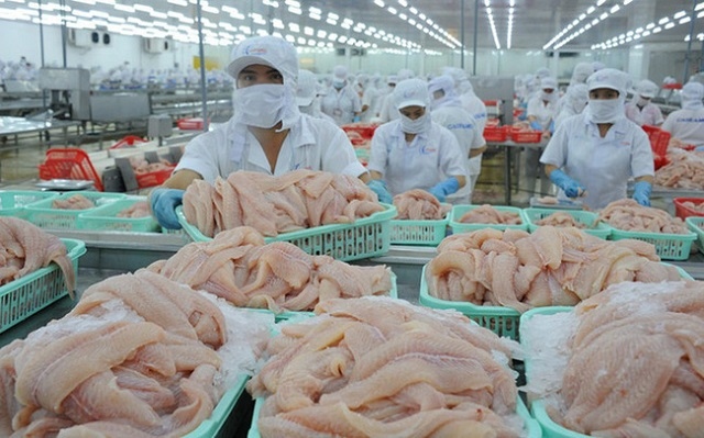 Tra fish exports to EU market plunge