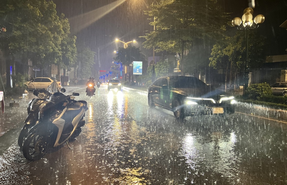 Cơn mưa vàng đầu mùa giúp cây trồng ở Gia Lai, Kon Tum thoát cảnh khô khát