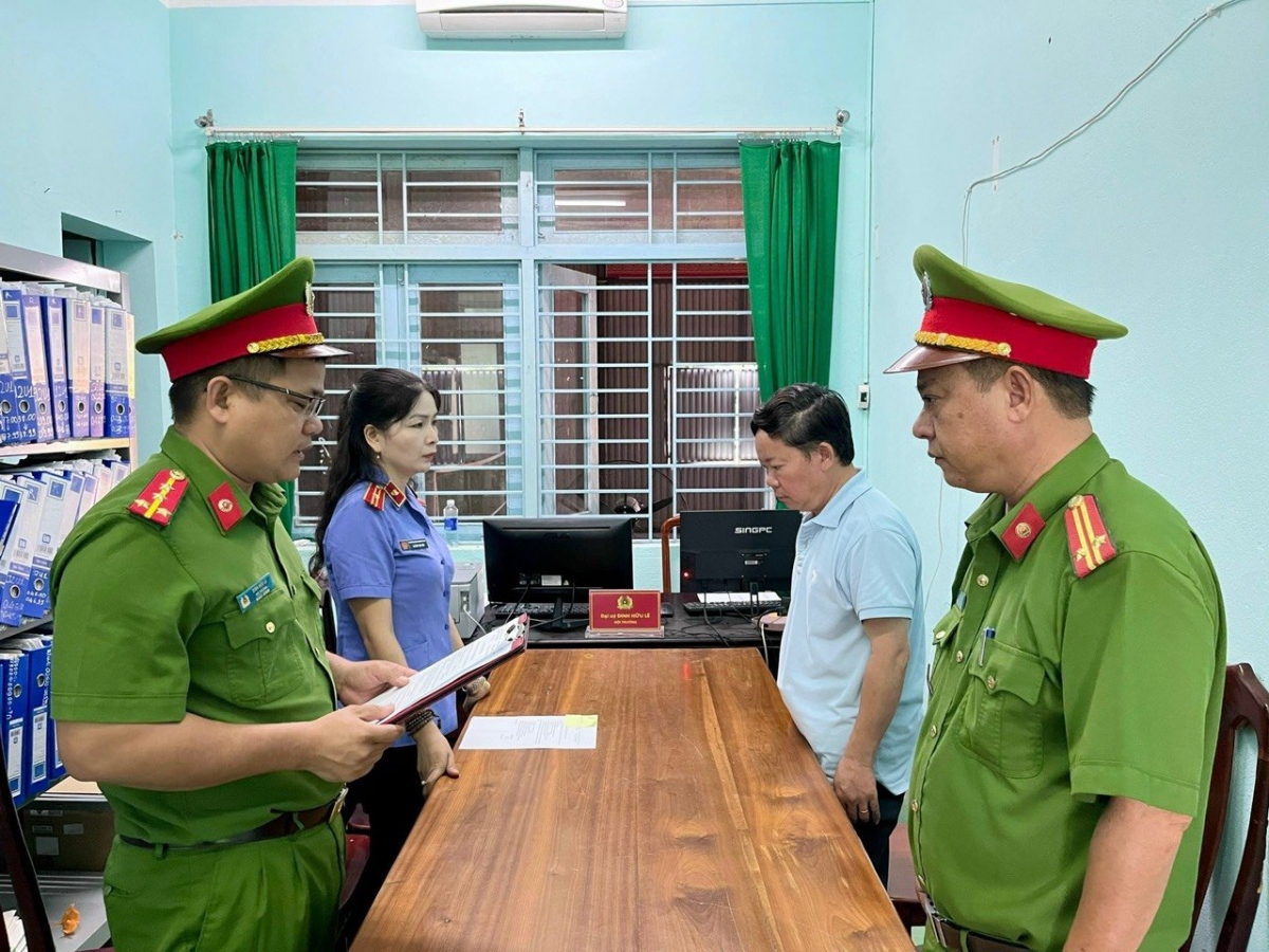 khoi to, bat tam giam doi tuong huy hoai rung de lam duong day dien 110kv hinh anh 1