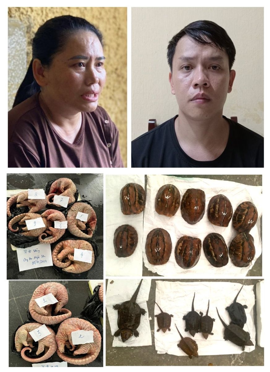 nữ quái cầm đầu đường dây buôn bán động vật quý hiếm hình ảnh 1 nu quai cam dau duong day buon ban dong vat quy hiem hinh anh 1