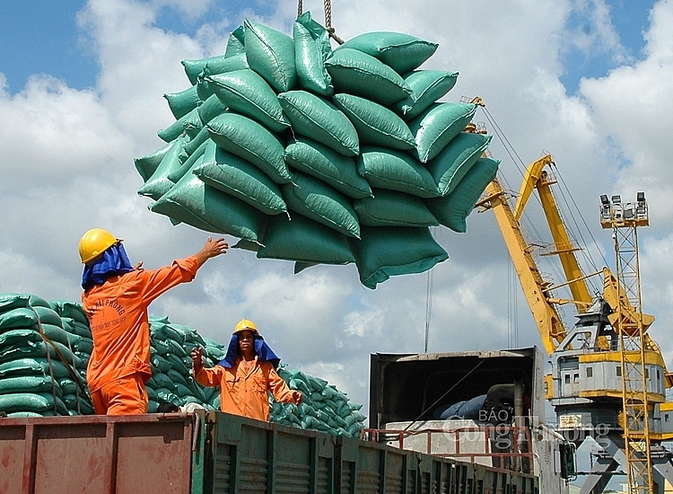 vietnamese rice exports skyrocket at high-end markets picture 1