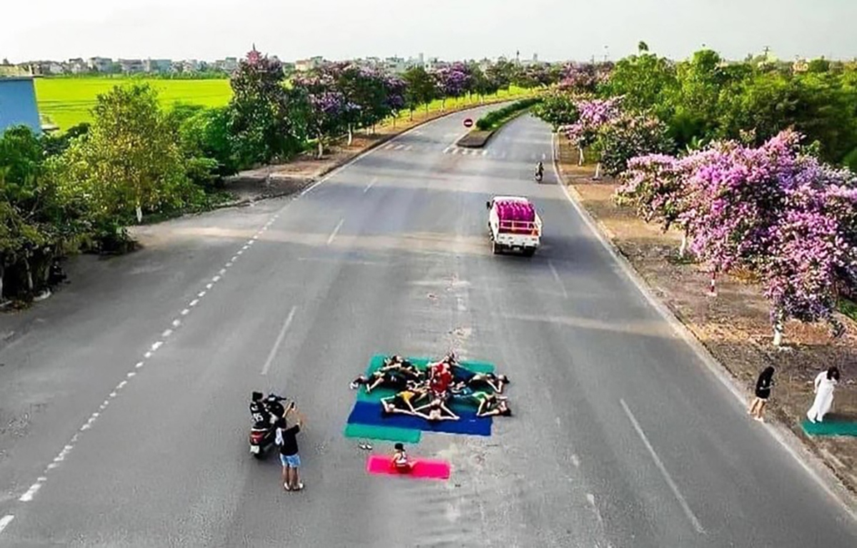 Chụp ảnh tập yoga cùng hoa bằng lăng dưới lòng đường, 14 người bị phạt