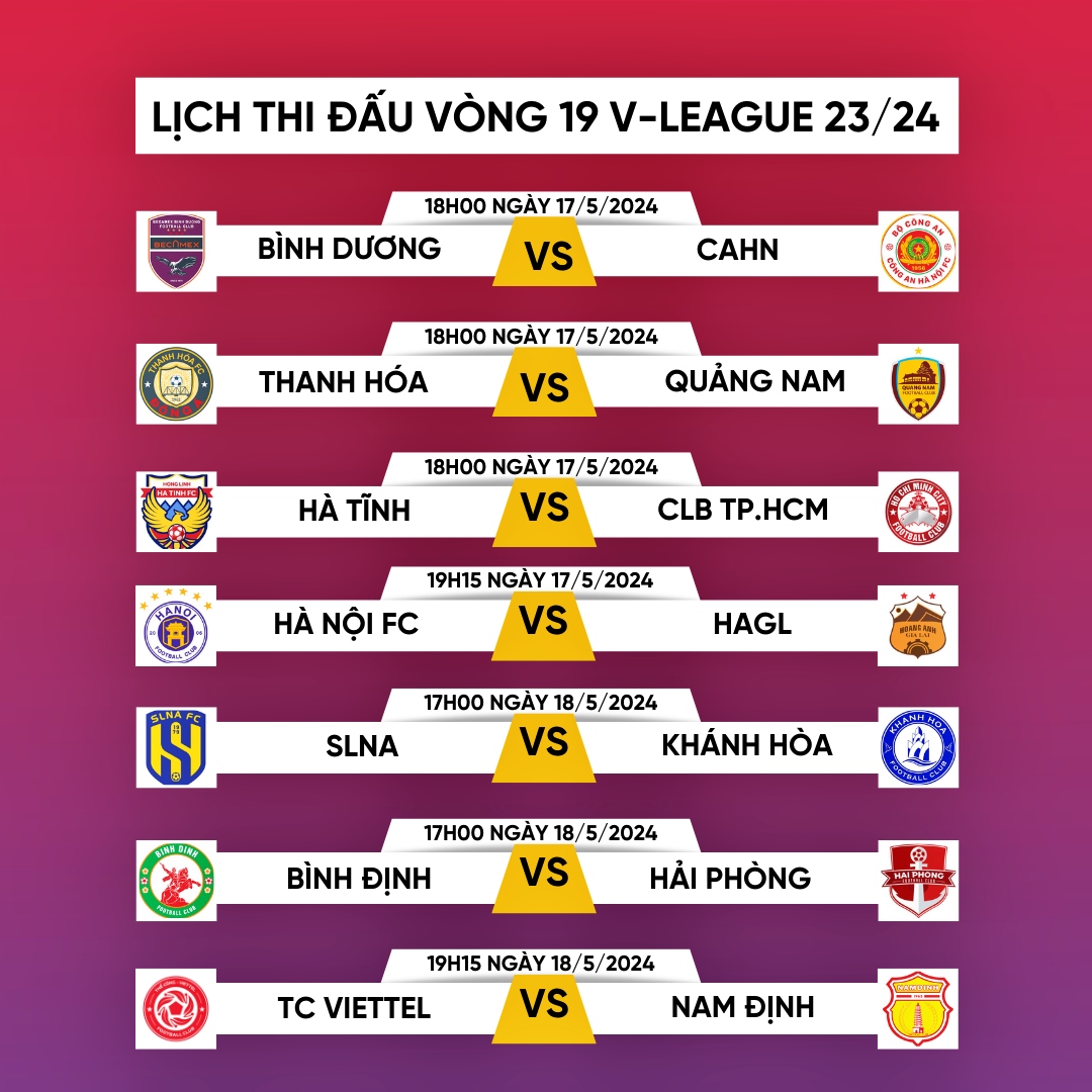 lich thi dau vong 19 v-league 2023 2024 hagl va nam Dinh gap kho hinh anh 1