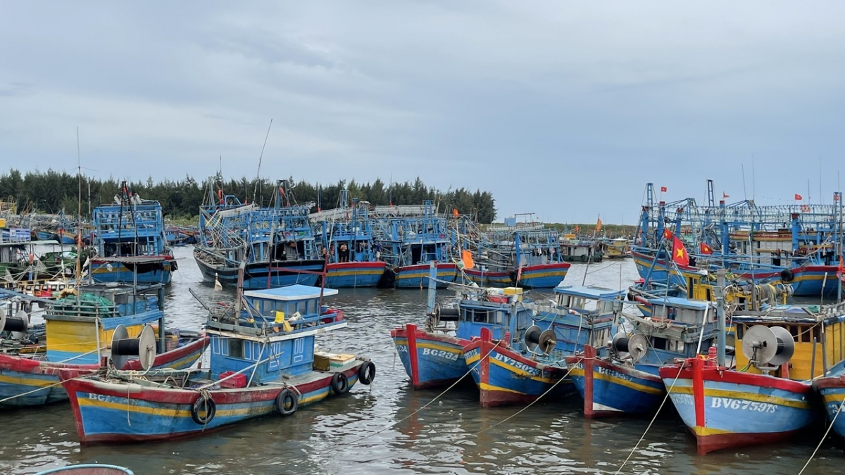 Nhiều tàu cá ở Bà Rịa - Vũng Tàu vi phạm quy định IUU