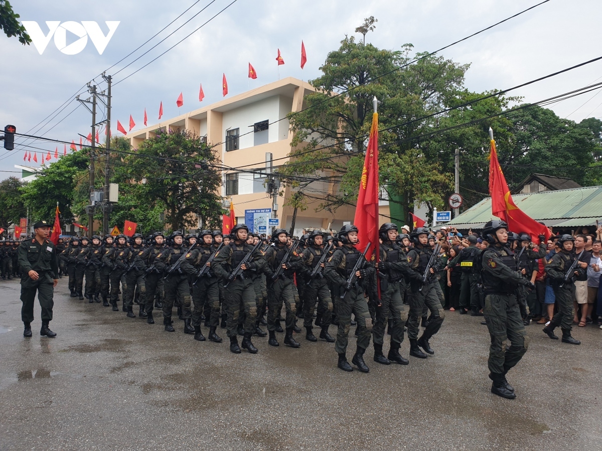 grand military parade celebrates 70th dien bien phu victory anniversary picture 11