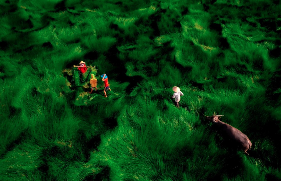 photos of vietnamese landscapes honoured at 35awards photography award picture 1