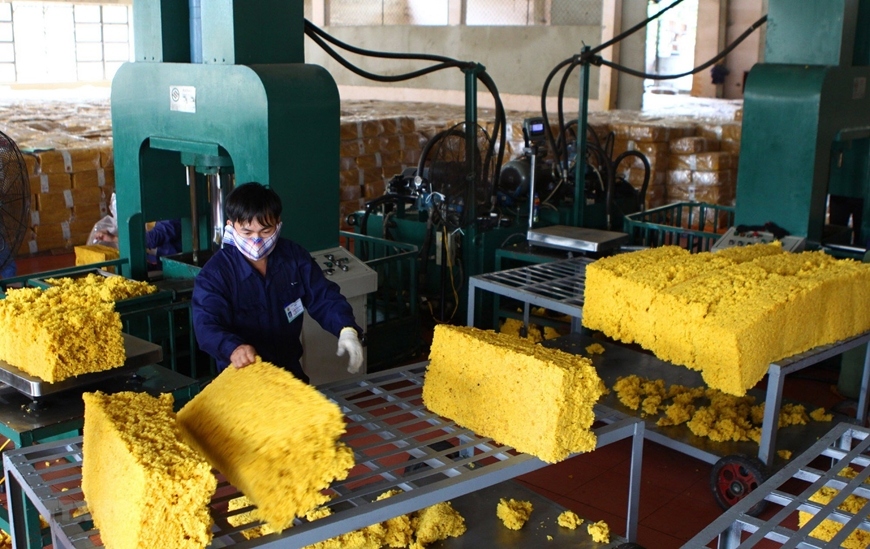 ample room ahead for vietnamese rubber exports to us picture 1