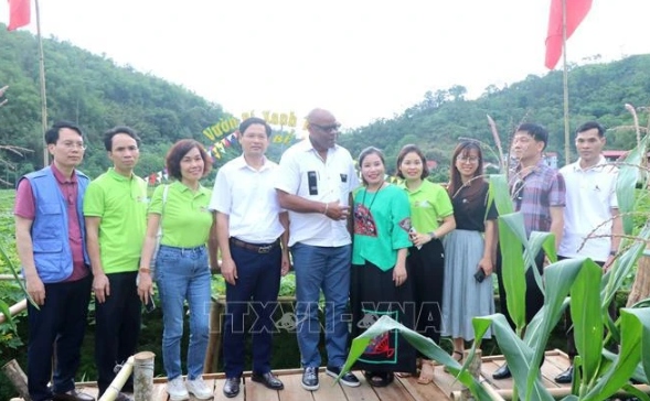 fao supports bac kan s agro-forestry development picture 1