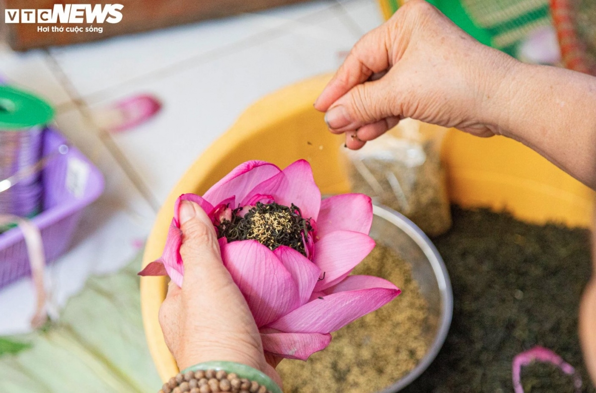 discovering lotus tea making art of hanoians picture 9