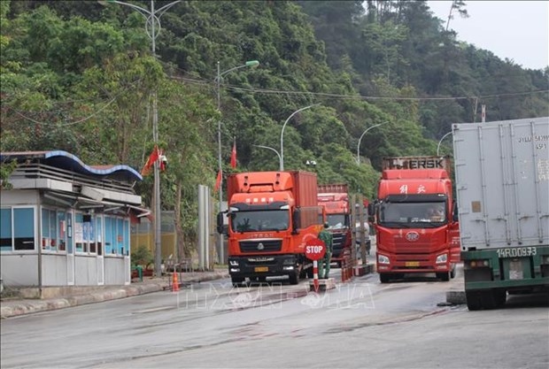 nearly 55,800 tonnes of agricultural products exported via lang son border gate picture 1