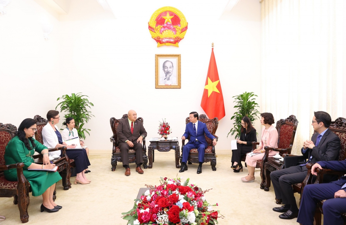 vietnam keen for who support to improve preventive healthcare system picture 1