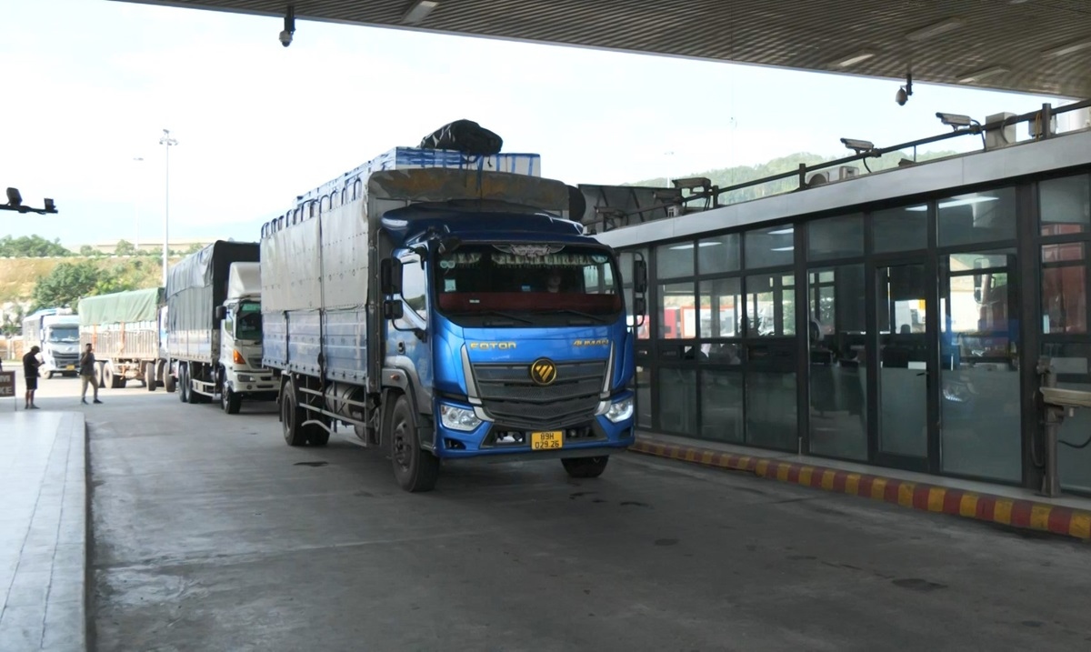 Lào Cai tạo điều kiện thuận lợi cho xuất khẩu quả vải tươi