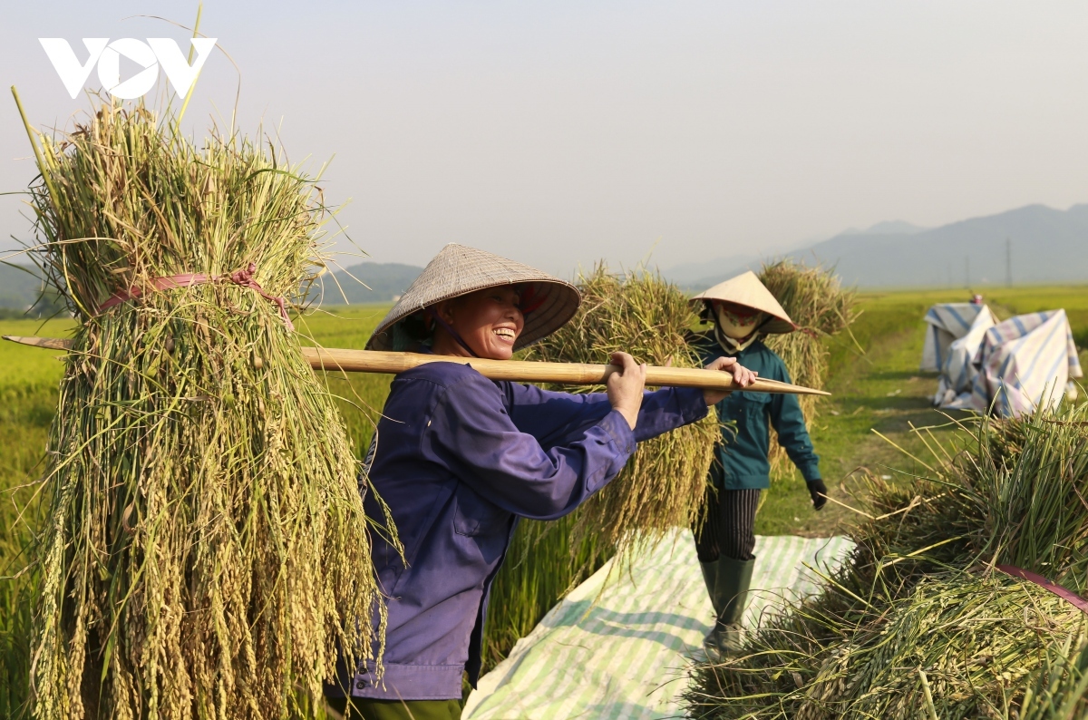 都市之无敌修仙最新章节