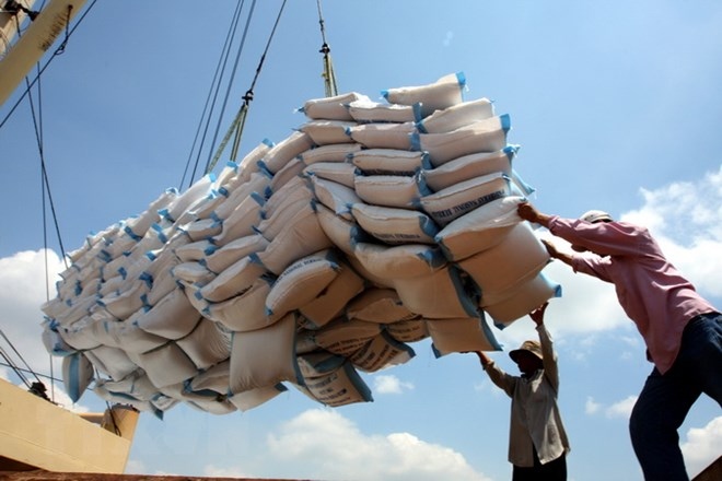vietnam eyes golden opportunities for rice exports picture 1