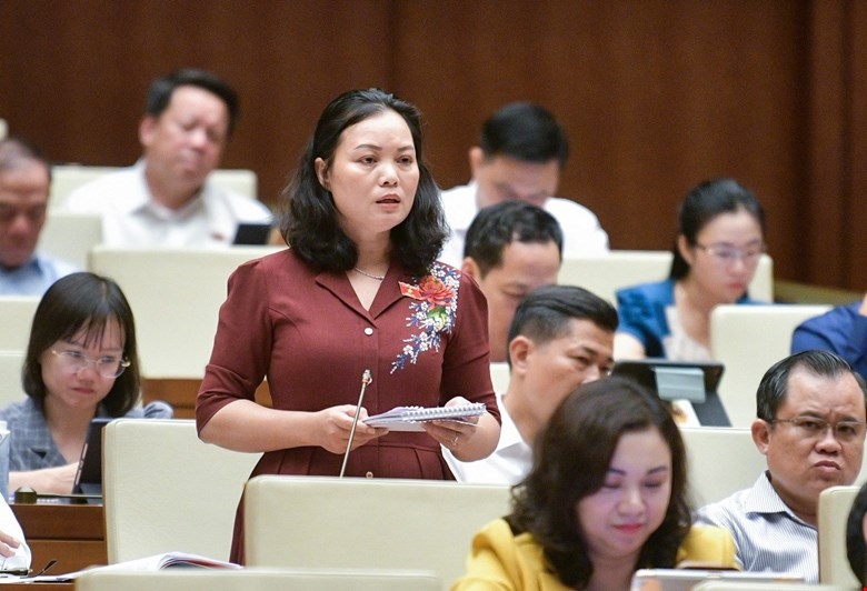 Dai bieu quoc hoi nen cam nguoi dan dot phao hoa, quy dinh bom xang la vu khi hinh anh 1