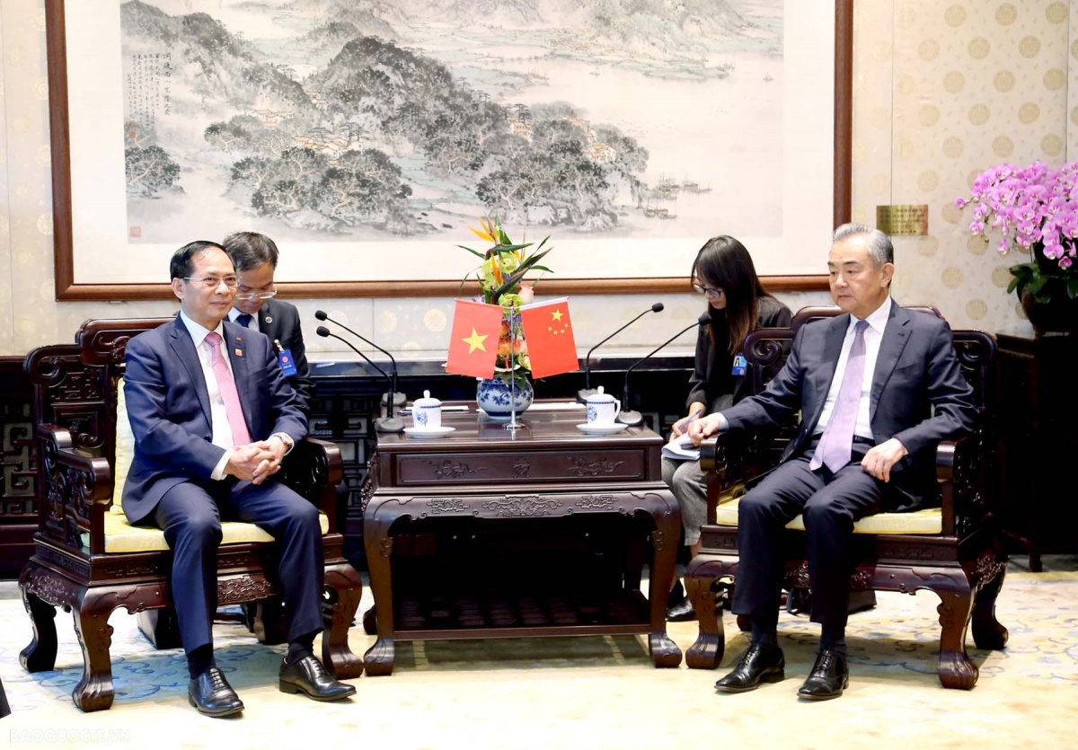 foreign ministers discuss vietnam china cooperation picture 1