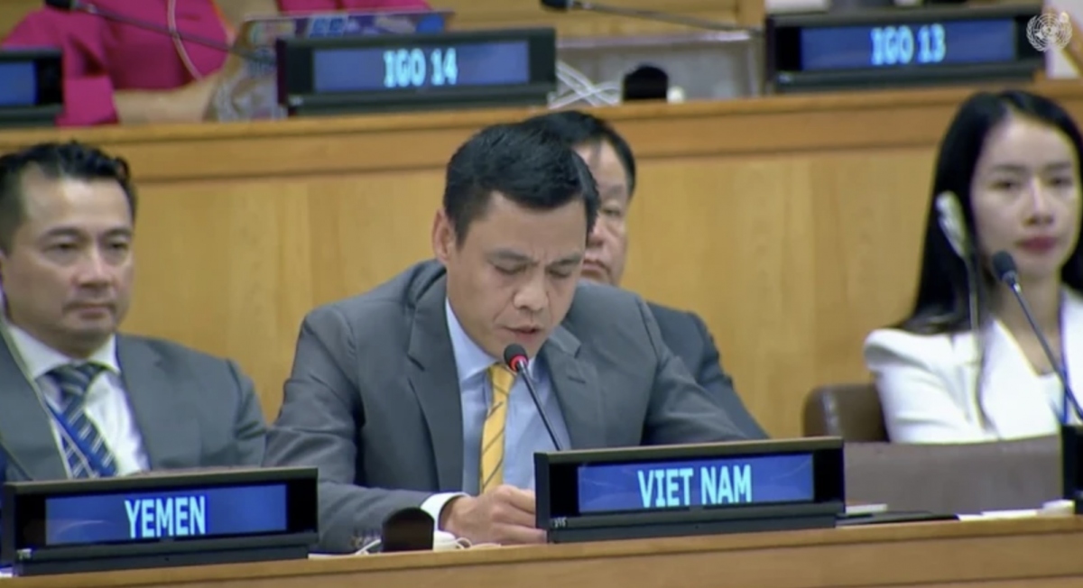 vietnam commits strict management of weapon diplomat picture 1