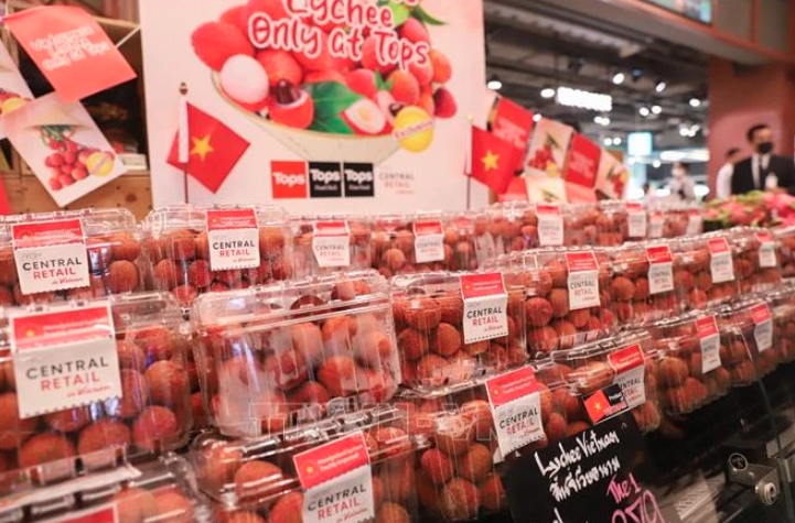 enterprises urged to grasp thai consumers taste to boost exports picture 1