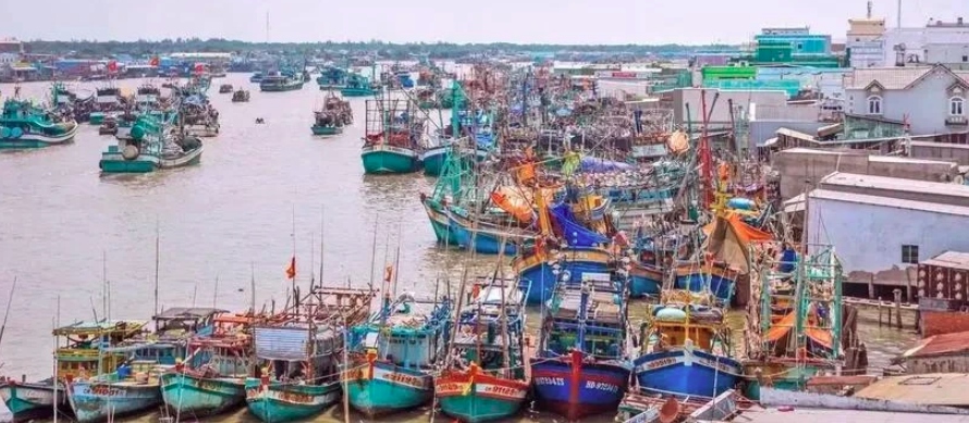 vietnam adopts measures to have ec s iuu yellow card removed picture 1