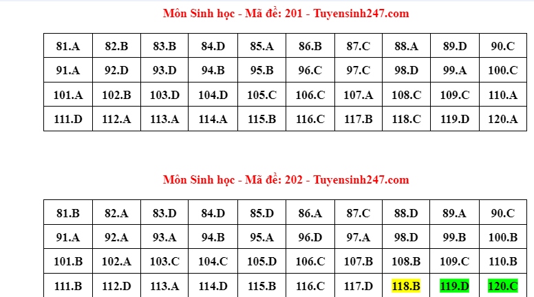 Cập nhật đáp án môn Sinh học kỳ thi tốt nghiệp THPT 2024