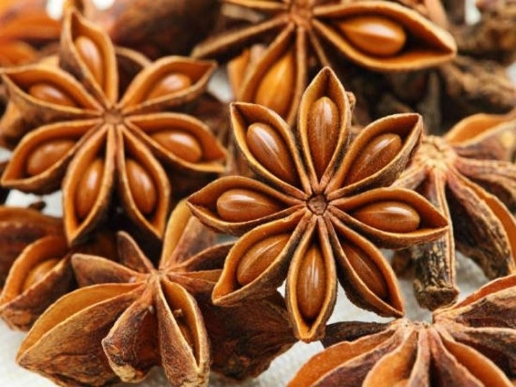 india is main market for vietnamese star anise exports picture 1