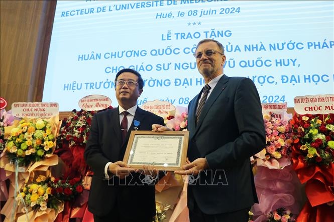 vietnamese professor honoured with french order of merit picture 1