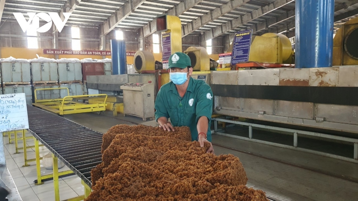 rubber exports to sri lanka surge picture 1