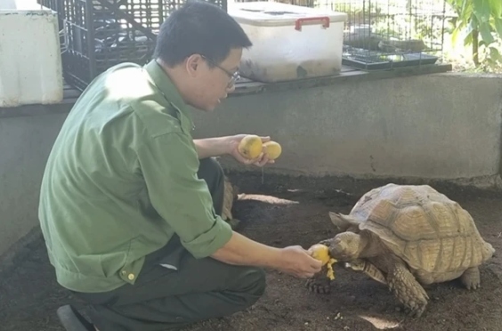 Hospital for wildlife animals operates in the forest