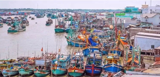 expert commends vietnam s efforts in iuu fishing combat picture 1