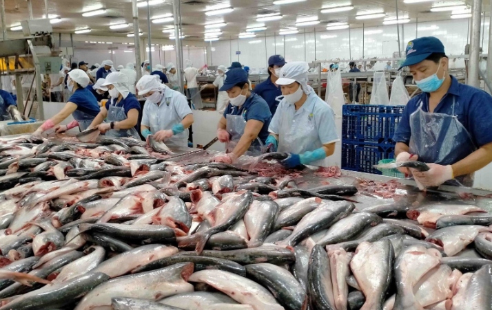 China remains largest importer of Vietnamese pangasius