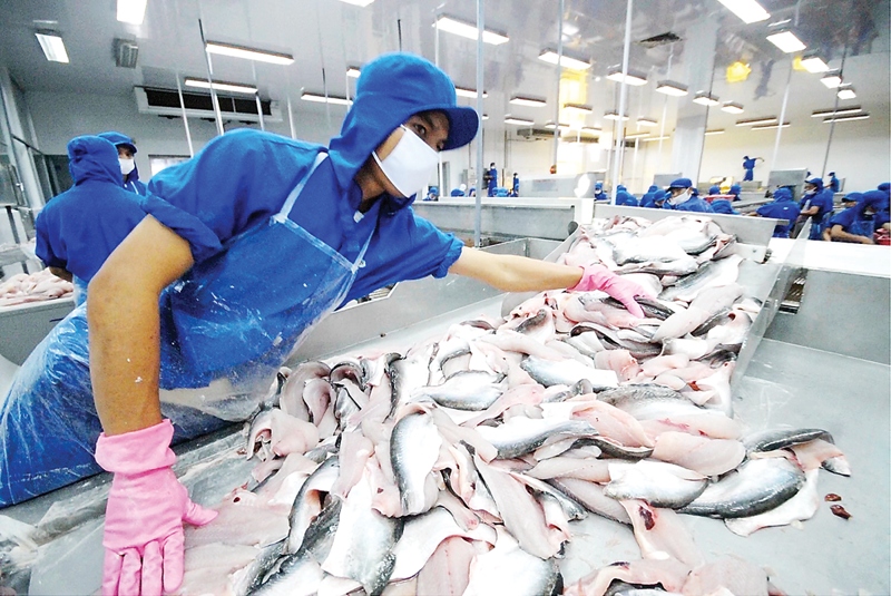 shrimp and pangasius exports see fluctuations in may picture 1