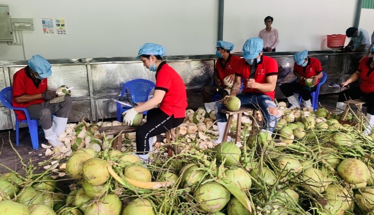 coconut exports likely to exceed us 1 billion in the time ahead picture 1