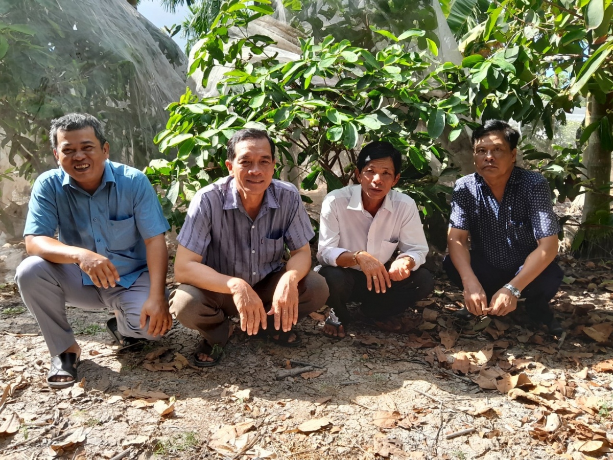 cay man xanh duong cho gia tri kinh te cao hinh anh 2