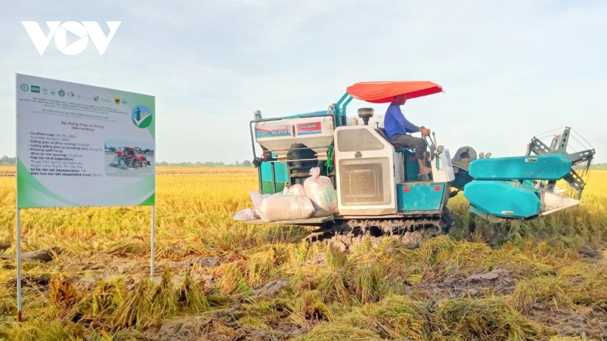wb pledges support for vietnam s low-carbon rice farming project picture 1
