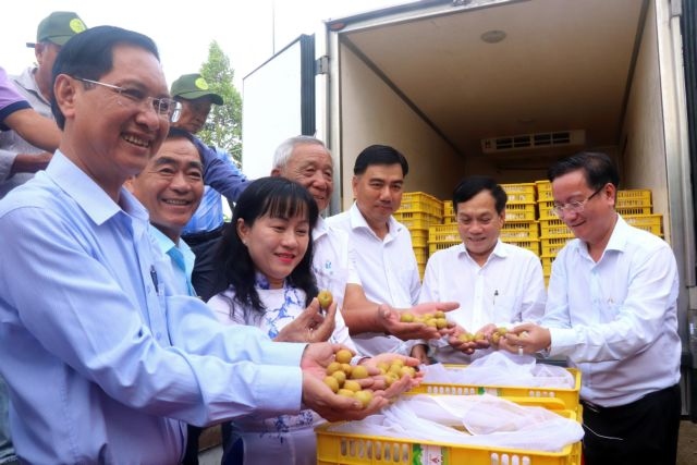 can tho exports 1.2 tonnes of special longan to the us picture 1