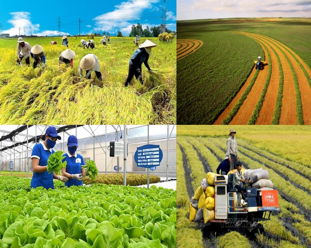 undp, vietnam discuss ways to promote circular agriculture picture 1