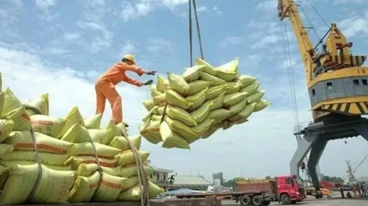vietnam earns us 2.98 billion from rice exports in h1 picture 1