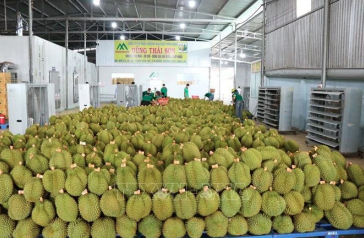 favourable conditions in place for stronger fruit exports picture 1